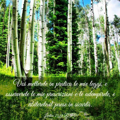 Picture 03 - Levitico 25:18 RIV - Voi metterete in pratica le mie leggi, e - Bible Verse Picture