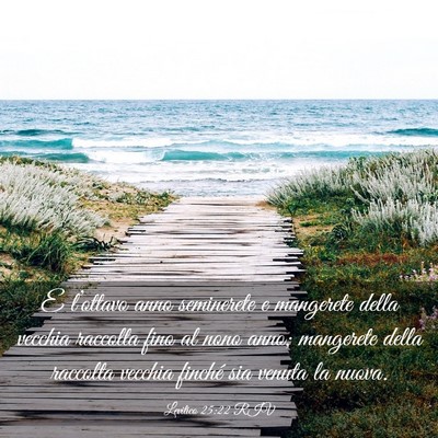 Picture 03 - Levitico 25:22 RIV - E l’ottavo anno seminerete e mangerete della - Bible Verse Picture