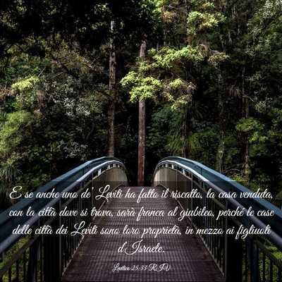 Picture 03 - Levitico 25:33 RIV - E se anche uno de’ Leviti ha fatto il riscatto, - Bible Verse Picture