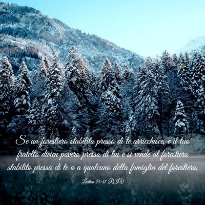 Picture 03 - Levitico 25:47 RIV - Se un forestiero stabilito presso di te - Bible Verse Picture