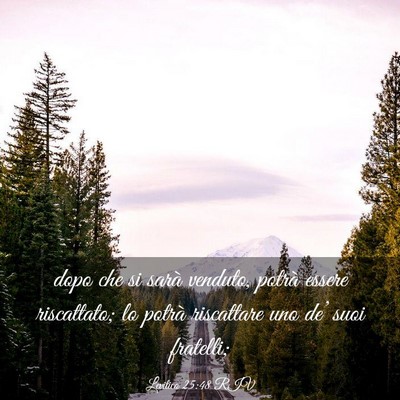 Picture 03 - Levitico 25:48 RIV - dopo che si sarà venduto, potrà essere - Bible Verse Picture