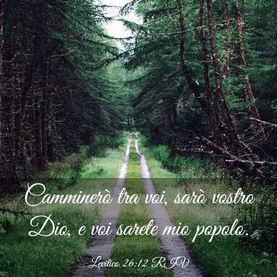 Picture 03 - Levitico 26:12 RIV - Camminerò tra voi, sarò vostro Dio, e voi - Bible Verse Picture