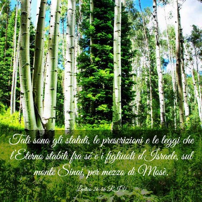 Picture 03 - Levitico 26:46 RIV - Tali sono gli statuti, le prescrizioni e le leggi - Bible Verse Picture