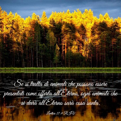 Picture 03 - Levitico 27:9 RIV - Se si tratta di animali che possono essere - Bible Verse Picture