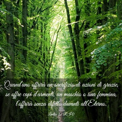 Picture 03 - Levitico 3:1 RIV - Quand’uno offrirà un sacrifizio di azioni di - Bible Verse Picture