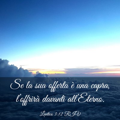 Picture 03 - Levitico 3:12 RIV - Se la sua offerta è una capra, l’offrirà - Bible Verse Picture