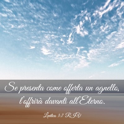 Picture 03 - Levitico 3:7 RIV - Se presenta come offerta un agnello, l’offrirà - Bible Verse Picture