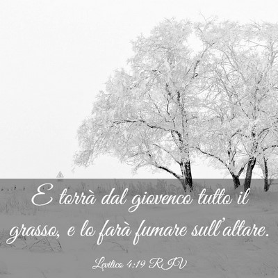 Picture 03 - Levitico 4:19 RIV - E torrà dal giovenco tutto il grasso, e lo farà - Bible Verse Picture