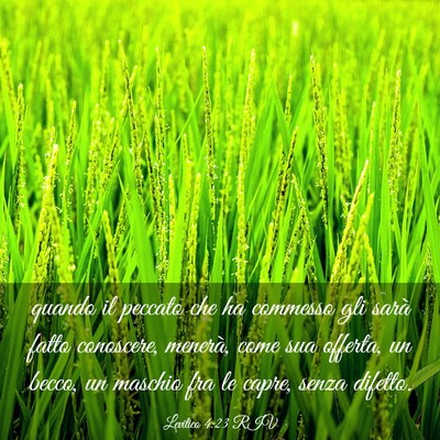 Picture 03 - Levitico 4:23 RIV - quando il peccato che ha commesso gli sarà fatto - Bible Verse Picture