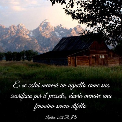 Picture 03 - Levitico 4:32 RIV - E se colui menerà un agnello come suo sacrifizio - Bible Verse Picture