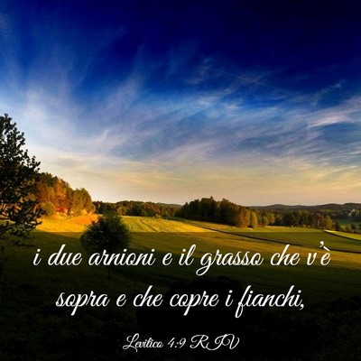Picture 03 - Levitico 4:9 RIV - i due arnioni e il grasso che v’è sopra e che - Bible Verse Picture