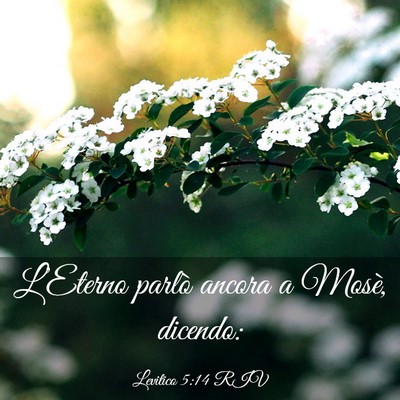 Picture 03 - Levitico 5:14 RIV - L’Eterno parlò ancora a Mosè, - Bible Verse Picture