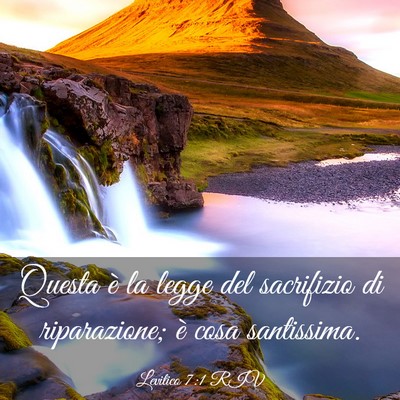 Picture 03 - Levitico 7:1 RIV - Questa è la legge del sacrifizio di riparazione; - Bible Verse Picture