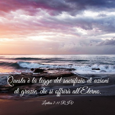 Picture 03 - Levitico 7:11 RIV - Questa è la legge del sacrifizio di azioni di - Bible Verse Picture