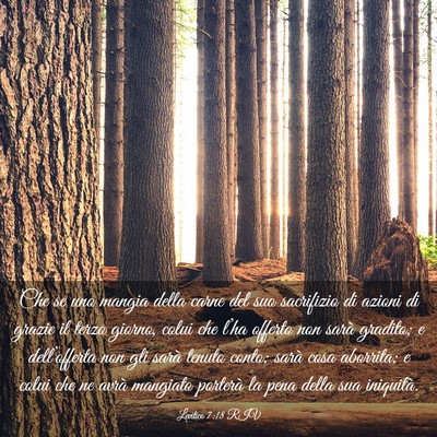 Picture 03 - Levitico 7:18 RIV - Che se uno mangia della carne del suo sacrifizio - Bible Verse Picture
