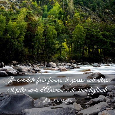 Picture 03 - Levitico 7:31 RIV - Il sacerdote farà fumare il grasso - Bible Verse Picture