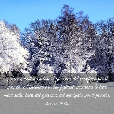 Picture 03 - Levitico 8:14 RIV - Fece quindi accostare il giovenco del sacrifizio - Bible Verse Picture