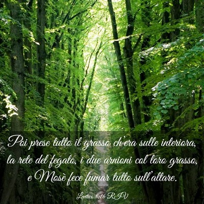 Picture 03 - Levitico 8:16 RIV - Poi prese tutto il grasso ch’era sulle - Bible Verse Picture