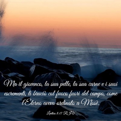 Picture 03 - Levitico 8:17 RIV - Ma il giovenco, la sua pelle, la sua carne e i - Bible Verse Picture