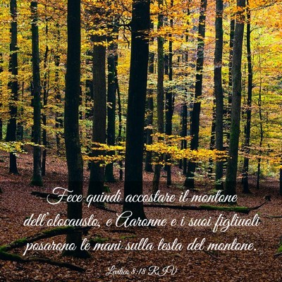 Picture 03 - Levitico 8:18 RIV - Fece quindi accostare il montone - Bible Verse Picture