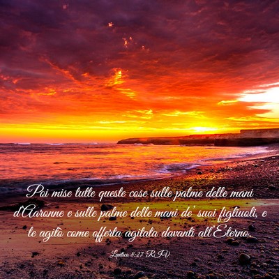Picture 03 - Levitico 8:27 RIV - Poi mise tutte queste cose sulle palme delle mani - Bible Verse Picture