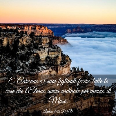 Picture 03 - Levitico 8:36 RIV - E Aaronne e i suoi figliuoli fecero tutte le cose - Bible Verse Picture