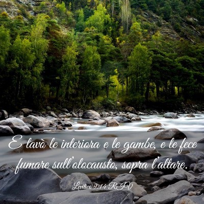 Picture 03 - Levitico 9:14 RIV - E lavò le interiora e le gambe, e le fece fumare - Bible Verse Picture