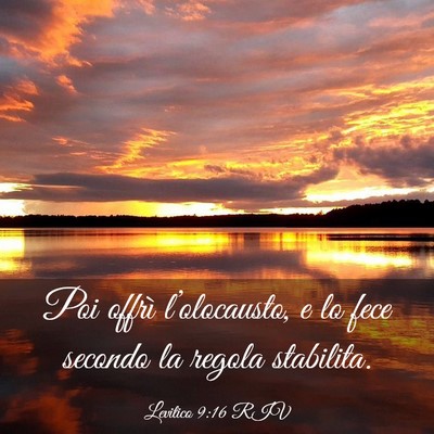 Picture 03 - Levitico 9:16 RIV - Poi offrì l’olocausto, e lo fece secondo la - Bible Verse Picture