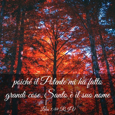 Picture 03 - Luca 1:49 RIV - poiché il Potente mi ha fatto grandi cose. Santo - Bible Verse Picture