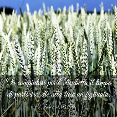 Picture 03 - Luca 1:57 RIV - Or compiutosi per Elisabetta il tempo di - Bible Verse Picture