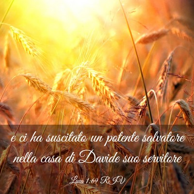Picture 03 - Luca 1:69 RIV - e ci ha suscitato un potente salvatore nella casa - Bible Verse Picture