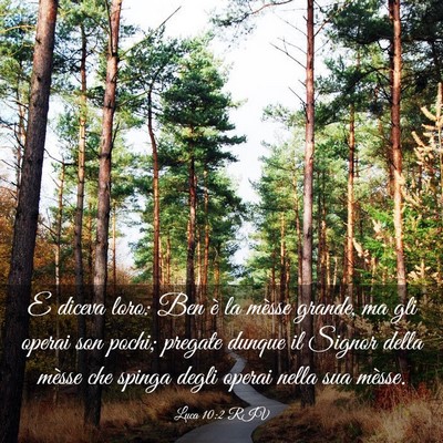 Picture 03 - Luca 10:2 RIV - E diceva loro: Ben è la mèsse grande, ma gli - Bible Verse Picture