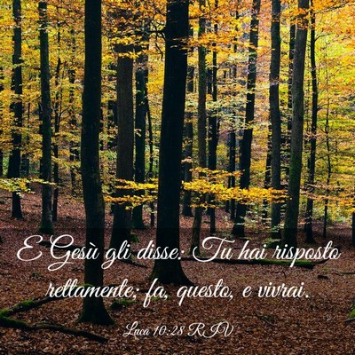 Picture 03 - Luca 10:28 RIV - E Gesù gli disse: Tu hai risposto rettamente; - Bible Verse Picture