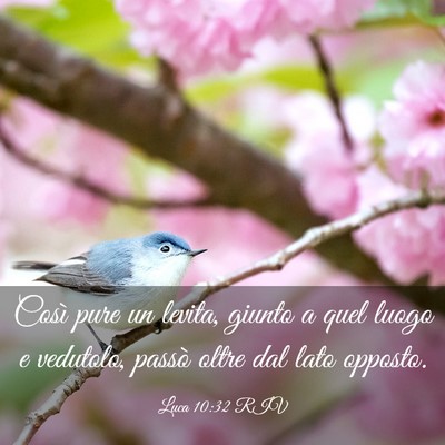 Picture 03 - Luca 10:32 RIV - Così pure un levita, giunto a quel luogo e - Bible Verse Picture