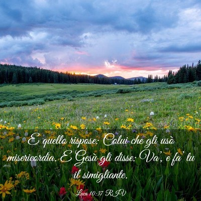 Picture 03 - Luca 10:37 RIV - E quello rispose: Colui che gli usò - Bible Verse Picture