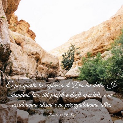 Picture 03 - Luca 11:49 RIV - E per questo la sapienza di Dio ha detto: Io - Bible Verse Picture