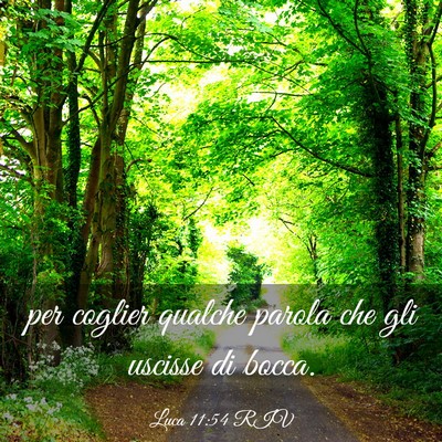 Picture 03 - Luca 11:54 RIV - per coglier qualche parola che gli uscisse di - Bible Verse Picture