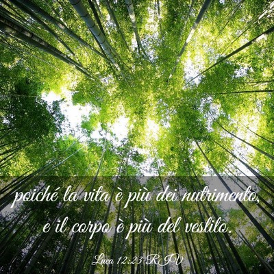 Picture 03 - Luca 12:23 RIV - poiché la vita è più dei nutrimento, e il - Bible Verse Picture
