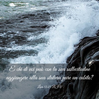 Picture 03 - Luca 12:25 RIV - E chi di voi può con la sua sollecitudine - Bible Verse Picture