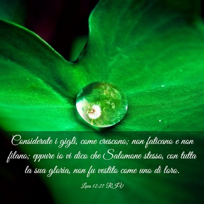 Picture 03 - Luca 12:27 RIV - Considerate i gigli, come crescono; non faticano - Bible Verse Picture