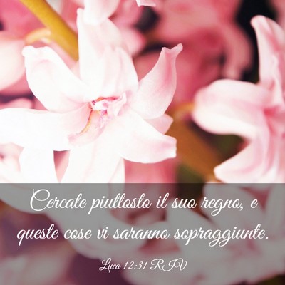 Picture 03 - Luca 12:31 RIV - Cercate piuttosto il suo regno, e queste cose vi - Bible Verse Picture