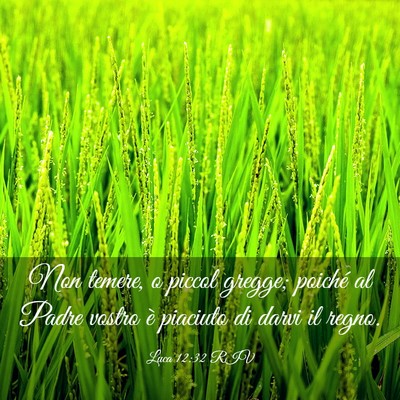 Picture 03 - Luca 12:32 RIV - Non temere, o piccol gregge; poiché al Padre - Bible Verse Picture