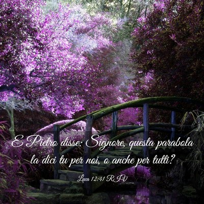 Picture 03 - Luca 12:41 RIV - E Pietro disse: Signore, questa parabola la dici - Bible Verse Picture
