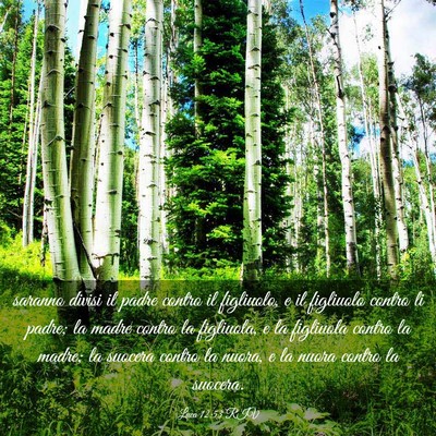 Picture 03 - Luca 12:53 RIV - saranno divisi il padre contro il figliuolo, e il - Bible Verse Picture