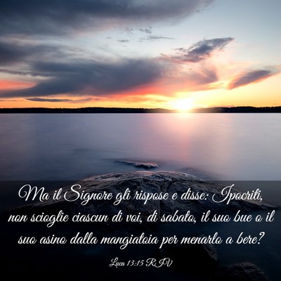 Picture 03 - Luca 13:15 RIV - Ma il Signore gli rispose e disse: Ipocriti, non - Bible Verse Picture