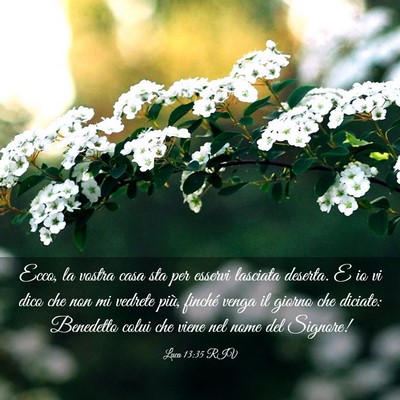 Picture 03 - Luca 13:35 RIV - Ecco, la vostra casa sta per esservi lasciata - Bible Verse Picture