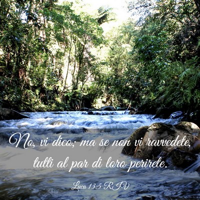 Picture 03 - Luca 13:5 RIV - No, vi dico; ma se non vi ravvedete, tutti al par - Bible Verse Picture