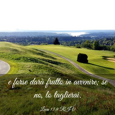 Picture 03 - Luca 13:9 RIV - e forse darà frutto in avvenire; se no, lo - Bible Verse Picture