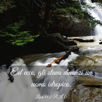 Picture 03 - Luca 14:2 RIV - Ed ecco, gli stava dinanzi un uomo - Bible Verse Picture