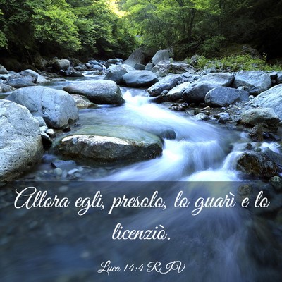 Picture 03 - Luca 14:4 RIV - Allora egli, presolo, lo guarì e lo - Bible Verse Picture